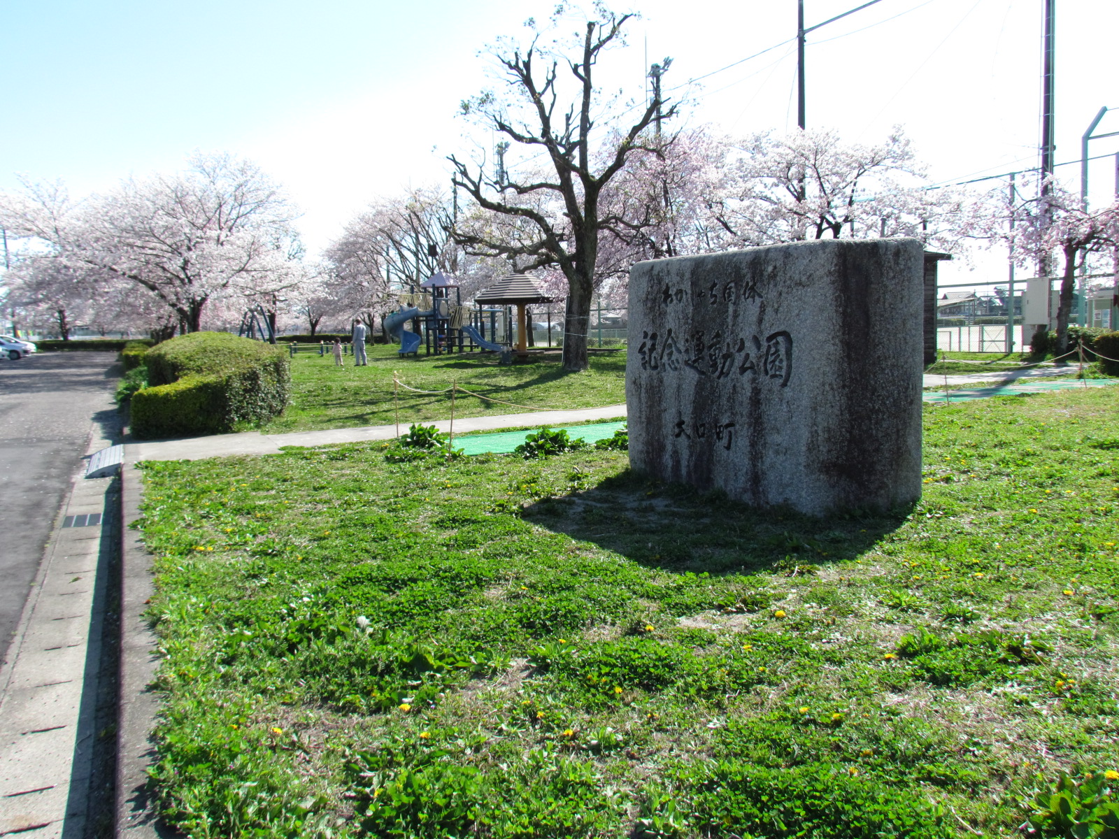 上小口グランドの桜